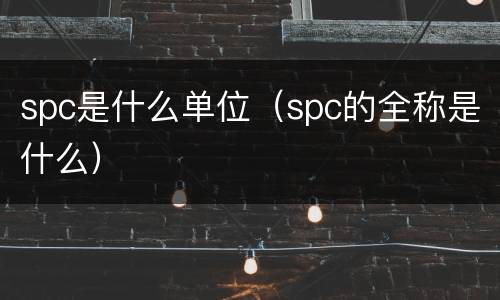 spc是什么单位（spc的全称是什么）