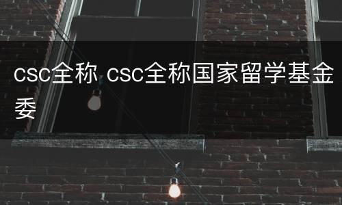 csc全称 csc全称国家留学基金委