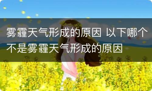 雾霾天气形成的原因 以下哪个不是雾霾天气形成的原因
