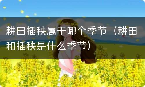 耕田插秧属于哪个季节（耕田和插秧是什么季节）