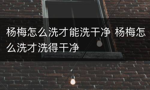 杨梅怎么洗才能洗干净 杨梅怎么洗才洗得干净