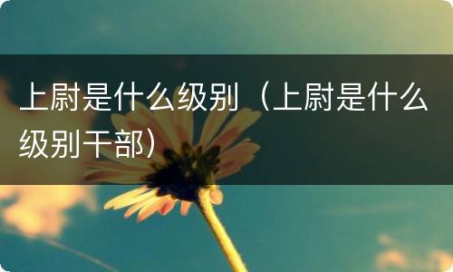 上尉是什么级别（上尉是什么级别干部）