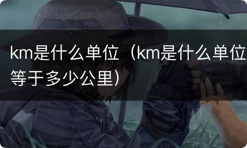 km是什么单位（km是什么单位等于多少公里）