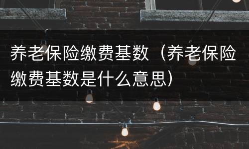 养老保险缴费基数（养老保险缴费基数是什么意思）