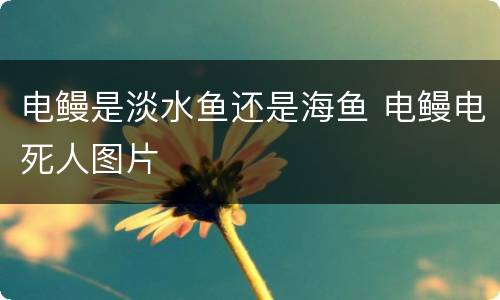 电鳗是淡水鱼还是海鱼 电鳗电死人图片