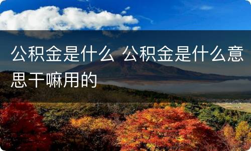 公积金是什么 公积金是什么意思干嘛用的