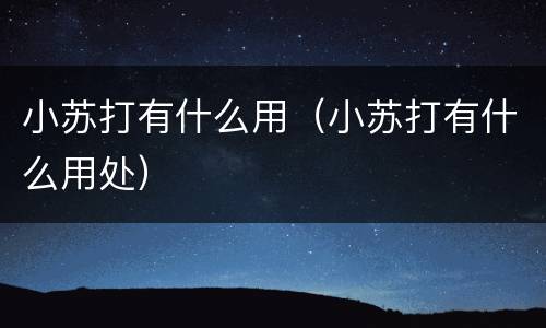 小苏打有什么用（小苏打有什么用处）