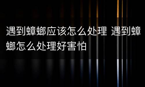 遇到蟑螂应该怎么处理 遇到蟑螂怎么处理好害怕