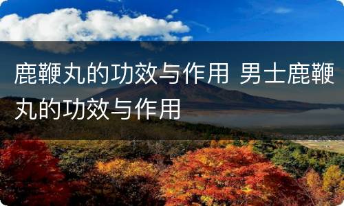 鹿鞭丸的功效与作用 男士鹿鞭丸的功效与作用