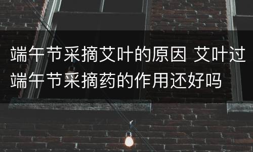 端午节采摘艾叶的原因 艾叶过端午节采摘药的作用还好吗