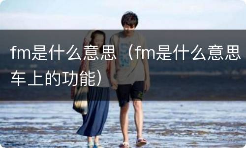 fm是什么意思（fm是什么意思车上的功能）
