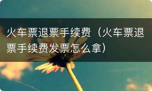 火车票退票手续费（火车票退票手续费发票怎么拿）