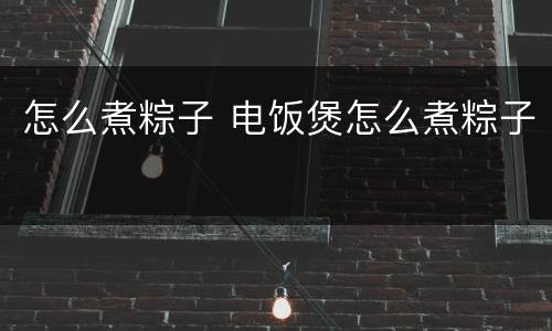 怎么煮粽子 电饭煲怎么煮粽子