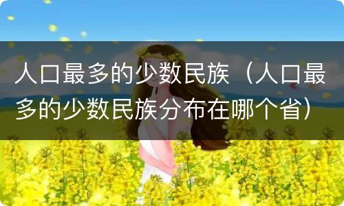 人口最多的少数民族（人口最多的少数民族分布在哪个省）