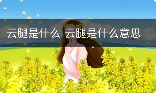 云腿是什么 云腿是什么意思