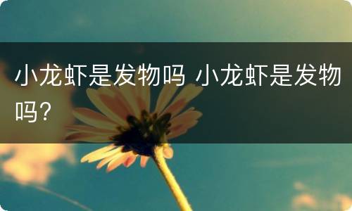 小龙虾是发物吗 小龙虾是发物吗?