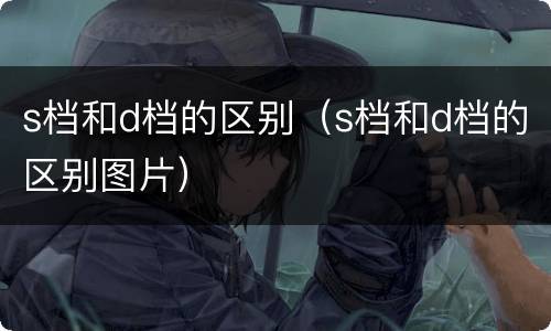 s档和d档的区别（s档和d档的区别图片）
