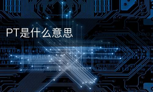 PT是什么意思