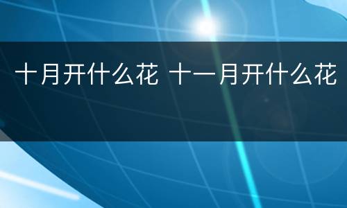 十月开什么花 十一月开什么花