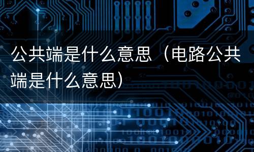 公共端是什么意思（电路公共端是什么意思）