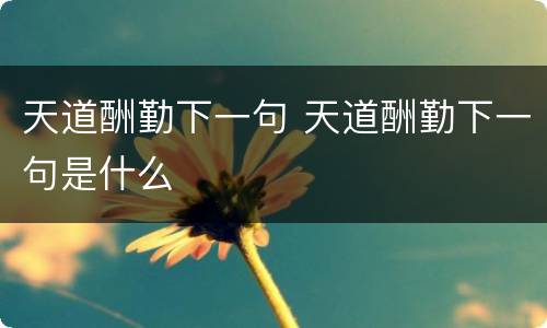 天道酬勤下一句 天道酬勤下一句是什么