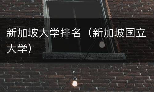 新加坡大学排名（新加坡国立大学）
