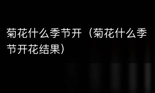 菊花什么季节开（菊花什么季节开花结果）