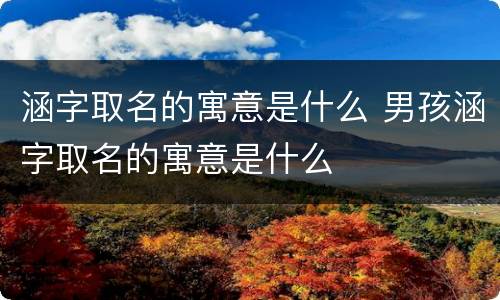 涵字取名的寓意是什么 男孩涵字取名的寓意是什么