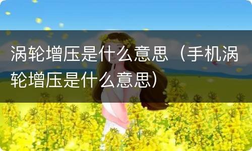 涡轮增压是什么意思（手机涡轮增压是什么意思）