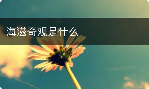 海滋奇观是什么