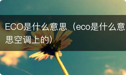 ECO是什么意思（eco是什么意思空调上的）