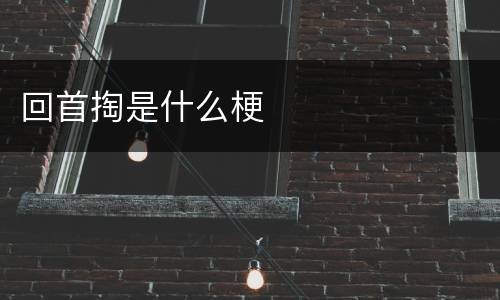 回首掏是什么梗