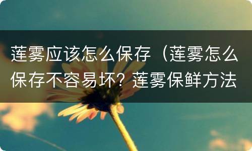 莲雾应该怎么保存（莲雾怎么保存不容易坏? 莲雾保鲜方法推荐）