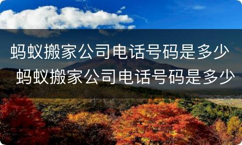 蚂蚁搬家公司电话号码是多少 蚂蚁搬家公司电话号码是多少乌鲁木齐