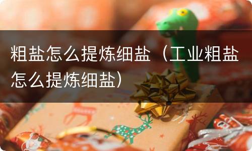粗盐怎么提炼细盐（工业粗盐怎么提炼细盐）