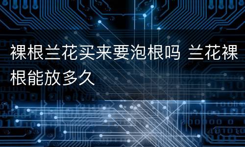裸根兰花买来要泡根吗 兰花裸根能放多久