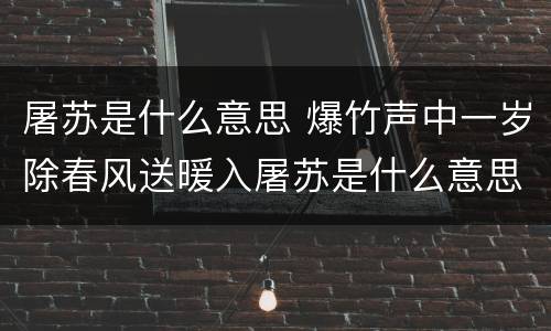 屠苏是什么意思 爆竹声中一岁除春风送暖入屠苏是什么意思