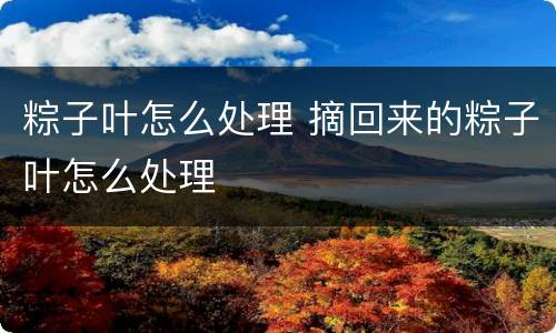 粽子叶怎么处理 摘回来的粽子叶怎么处理