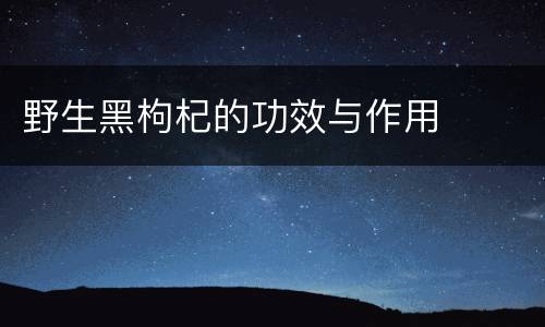 野生黑枸杞的功效与作用