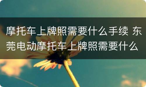 摩托车上牌照需要什么手续 东莞电动摩托车上牌照需要什么手续