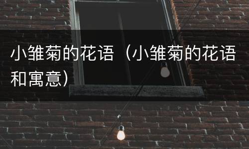 小雏菊的花语（小雏菊的花语和寓意）