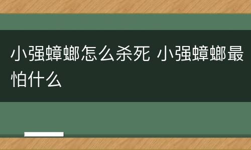 小强蟑螂怎么杀死 小强蟑螂最怕什么