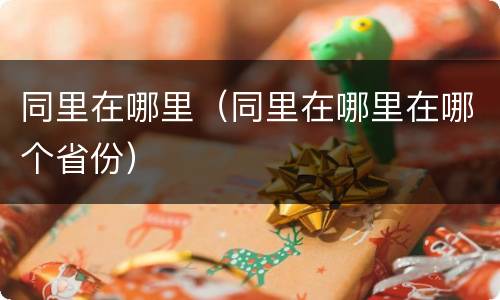 同里在哪里（同里在哪里在哪个省份）