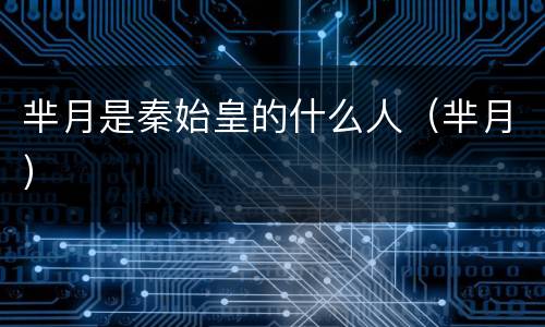 芈月是秦始皇的什么人（芈月）