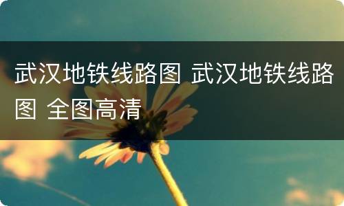 武汉地铁线路图 武汉地铁线路图 全图高清