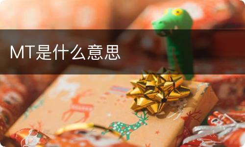 MT是什么意思