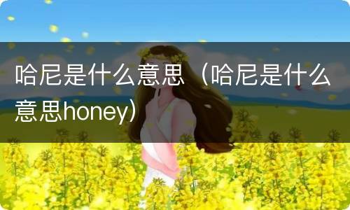 哈尼是什么意思（哈尼是什么意思honey）