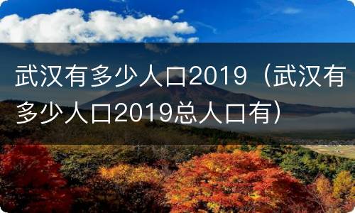 武汉有多少人口2019（武汉有多少人口2019总人口有）