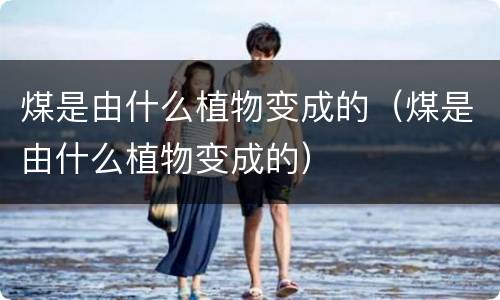 煤是由什么植物变成的（煤是由什么植物变成的）