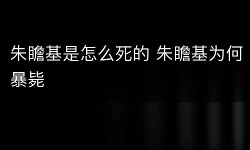 朱瞻基是怎么死的 朱瞻基为何暴毙